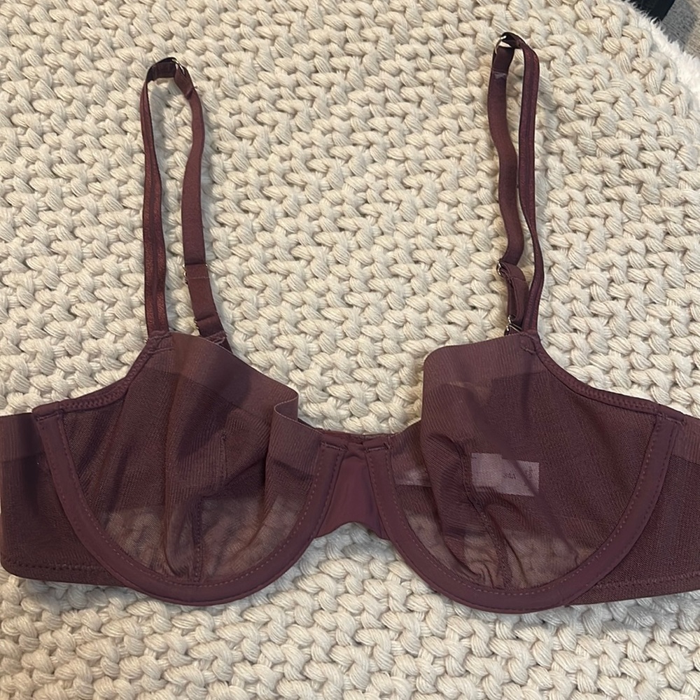 Sheer Underwire Bra